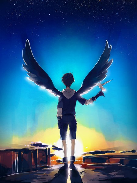 Anime picture 750x1000 with original takerusilt single tall image short hair black hair standing full body from behind outstretched arm bird on hand morning sunrise boy gloves animal wings boots bird (birds) hood