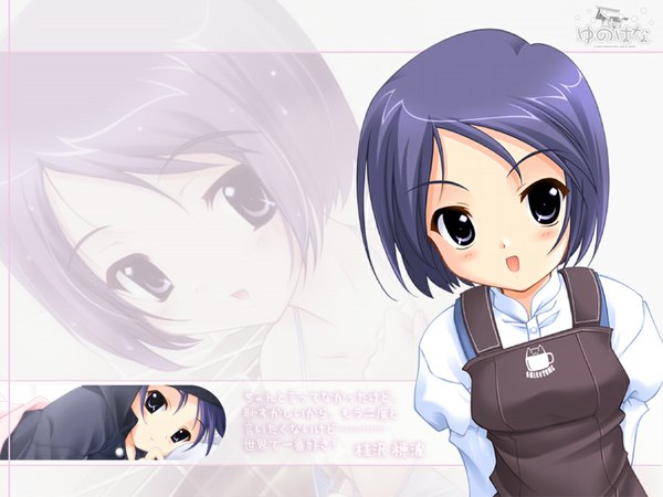 Anime picture 1024x768 with yunohana katsurazawa honami fujiwara warawara blush short hair blue eyes blue hair wallpaper overalls