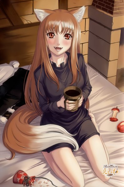 Anime picture 1626x2463 with spice and wolf horo eiwa single long hair tall image looking at viewer blush fringe open mouth red eyes brown hair holding animal ears tail animal tail light smile inscription teeth fang (fangs)