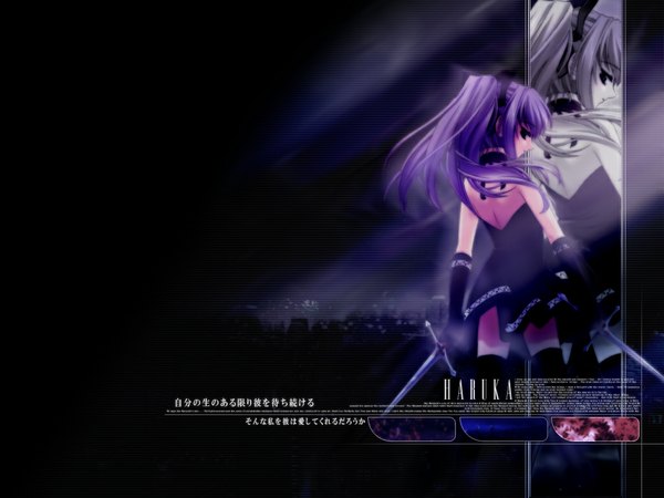 Anime picture 1024x768 with ochiba no mau koro haruka lichtenbein enomoto hiroaki single long hair holding purple hair ponytail profile looking back third-party edit zoom layer dual wielding girl thighhighs dress gloves weapon black thighhighs sword