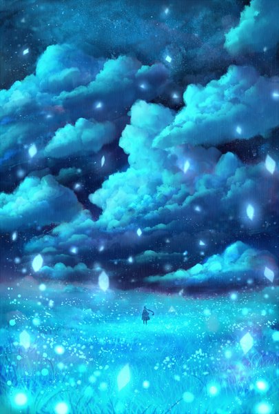 Anime picture 1000x1480 with original bounin single long hair tall image cloud (clouds) braid (braids) night night sky twin braids back silhouette girl dress plant (plants) star (stars) grass crystal