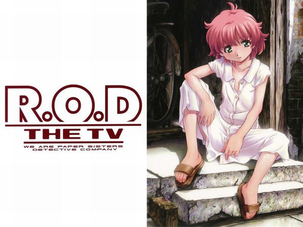 Anime picture 1024x768 with read or die j.c. staff anita king pink hair tagme