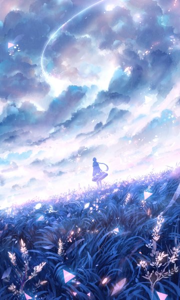 Anime picture 600x1000 with original bounin single long hair tall image standing sky cloud (clouds) outdoors braid (braids) wind from behind from below single braid girl plant (plants) grass sparks