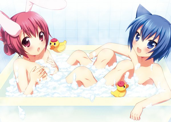 Anime picture 1000x714 with original onka sakura (usashiro mani) usashiro mani blush short hair open mouth blue eyes light erotic multiple girls animal ears blue hair pink hair nude cat ears bunny ears girl 2 girls bath suds