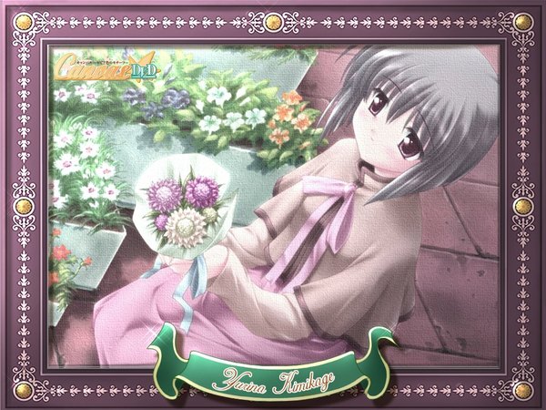 Anime picture 1024x768 with canvas (anime) kimikage yurina single fringe short hair hair between eyes brown eyes grey hair copyright name character names framed girl flower (flowers) bouquet