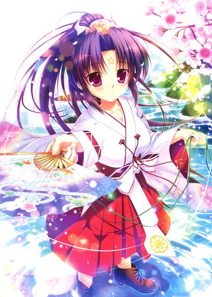 Anime picture 3288x4600 with original mikeou single long hair tall image looking at viewer blush highres red eyes absurdres purple hair ponytail traditional clothes cherry blossoms miko girl petals fan