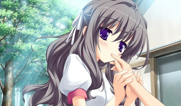Anime picture 1024x600 with koiiro soramoyou (game) utsumi shizuna lucie long hair wide image purple eyes game cg grey hair girl