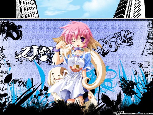 Anime picture 1280x960 with platinum wind percy purple eyes animal ears pink hair girl animal apron dog