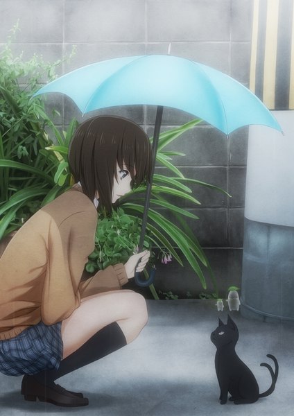 Anime picture 1562x2210 with original laco soregashi tall image short hair blue eyes black hair sitting rain squat ghost nekomata girl skirt uniform plant (plants) school uniform miniskirt socks black socks umbrella