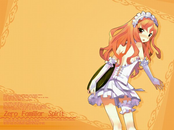 Anime picture 1024x768 with zero no tsukaima j.c. staff louise francoise le blanc de la valliere girl tagme