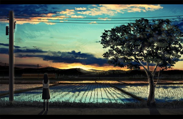 Anime picture 804x525 with original amemura single long hair black hair standing cloud (clouds) sunlight shadow back reflection letterboxed mountain landscape field sunrise girl skirt plant (plants) animal