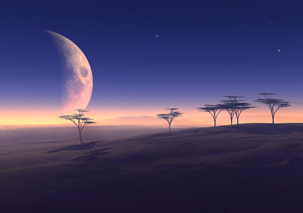 Anime picture 2480x1748 with original trbrchdm highres sky shadow horizon no people plant (plants) tree (trees) star (stars)