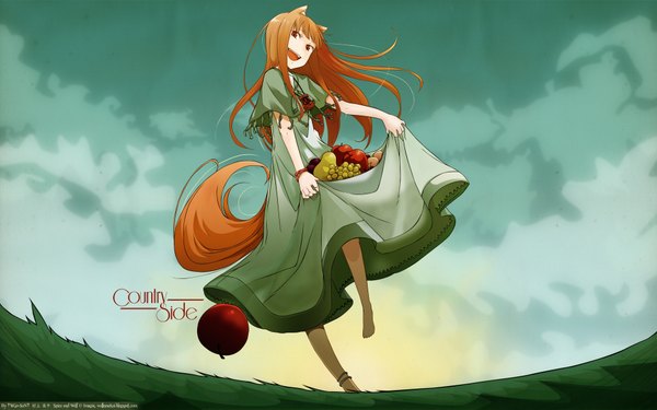 Anime picture 1920x1200 with spice and wolf horo highres wide image wolf tail