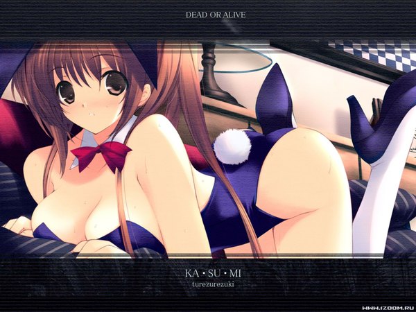 Anime picture 1600x1200 with dead or alive kasumi (doa) iizuki tasuku single long hair looking at viewer breasts light erotic brown hair large breasts brown eyes bunny girl girl bunnysuit