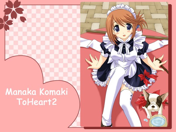 Anime picture 1600x1200 with to heart 2 leaf (studio) komaki manaka highres short hair blue eyes brown hair maid wallpaper thighhighs hair ornament hairclip dog