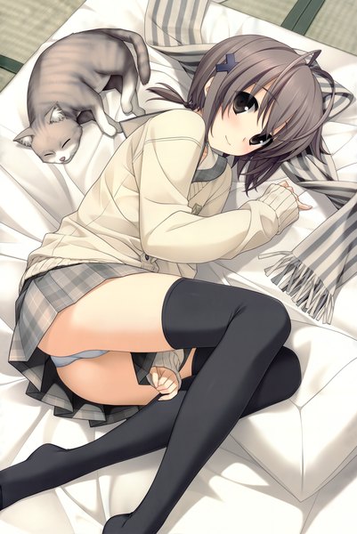 Anime picture 4306x6440 with yosuga no sora amatsume akira hashimoto takashi single tall image highres short hair light erotic absurdres grey hair black eyes pantyshot girl thighhighs skirt uniform underwear panties black thighhighs school uniform