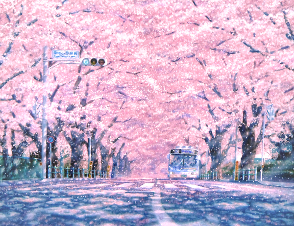 Anime picture 1445x1111 with original akashikaikyo cherry blossoms street crosswalk flower (flowers) plant (plants) petals tree (trees) ground vehicle fence road traffic sign traffic lights bus