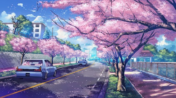 Anime picture 1100x618 with peach88 wide image sky cloud (clouds) cherry blossoms plant (plants) petals tree (trees) building (buildings) ground vehicle fence car road