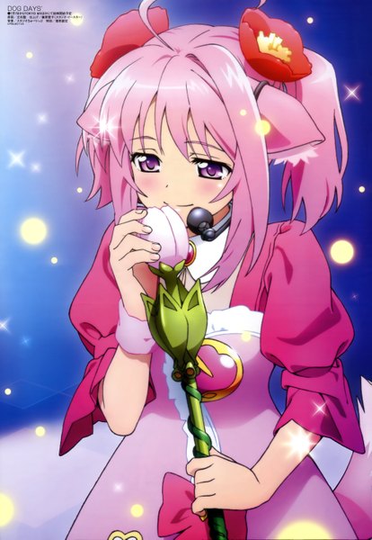 Anime picture 4091x5929 with dog days megami magazine millhiore f biscotti shiwasu takashi single tall image highres short hair purple eyes animal ears pink hair absurdres animal tail hair flower official art girl dress hair ornament flower (flowers) microphone