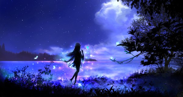 Anime picture 3840x2040 with original 00 long hair highres wide image standing absurdres cloud (clouds) full body outdoors pointy ears from behind night sparkle night sky standing on one leg horizon leg lift (legs lift) girl dress