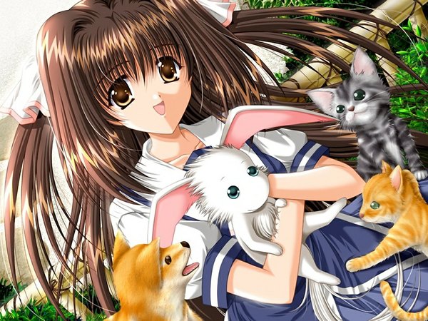 Anime picture 1024x768 with sky (game) hiougi ayame akira (usausa) single long hair brown hair brown eyes game cg girl animal cat bunny dog
