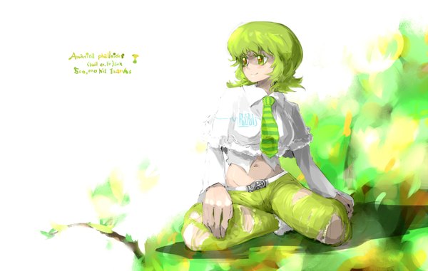 Anime picture 1750x1112 with original amanita phalloides oso (pixiv) single highres short hair smile green eyes green hair kneeling + + girl navel necktie