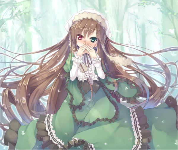 Anime picture 1500x1271 with rozen maiden suiseiseki asa (swallowtail) single long hair looking at viewer blush red eyes brown hair green eyes very long hair heterochromia covered mouth girl dress bonnet green dress