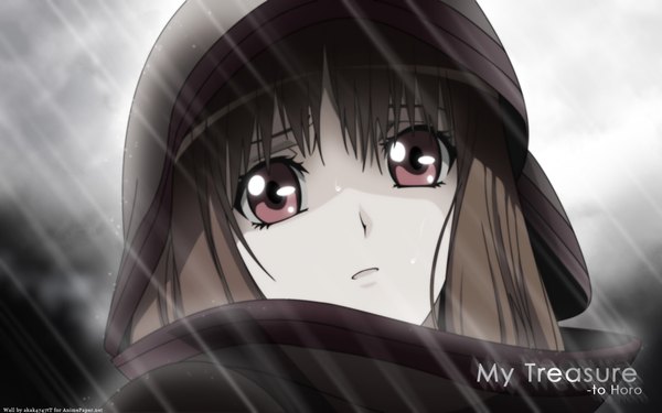 Anime picture 1920x1200 with spice and wolf horo highres wide image close-up