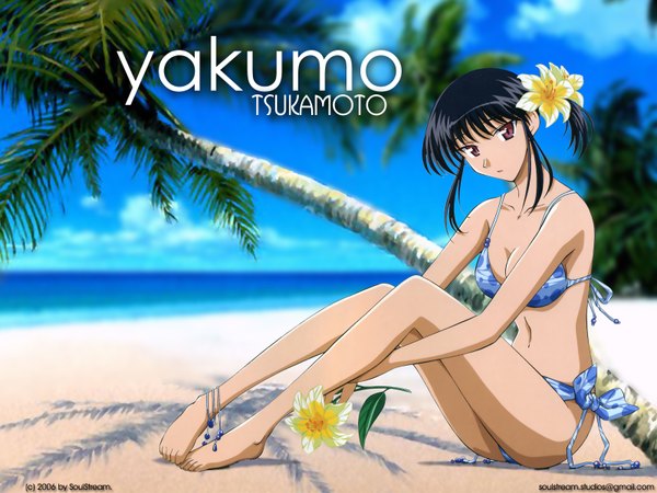 Anime picture 1600x1200 with school rumble tsukamoto yakumo swimsuit bikini tagme