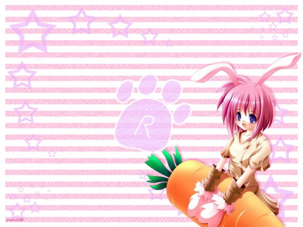 Anime picture 1024x768 with bunny girl girl vegetables carrot tagme