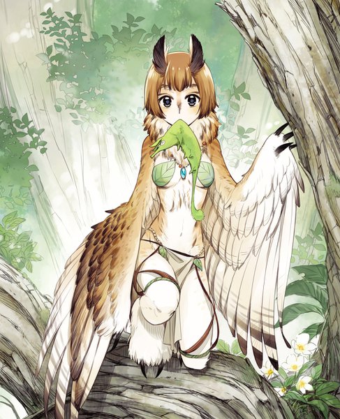 Anime picture 1000x1230 with original pixiv fantasia pixiv fantasia new world ttk (ehohmaki) single tall image looking at viewer fringe short hair breasts light erotic brown hair holding black eyes mouth hold bird girl girl flower (flowers) plant (plants) wings