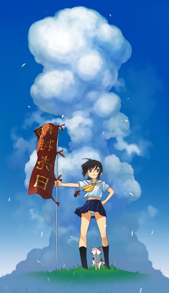 Anime picture 692x1200 with original hirokiku single long hair tall image blue eyes light erotic black hair sky cloud (clouds) ahoge braid (braids) wind pantyshot hand on hip twin braids hieroglyph girl underwear panties