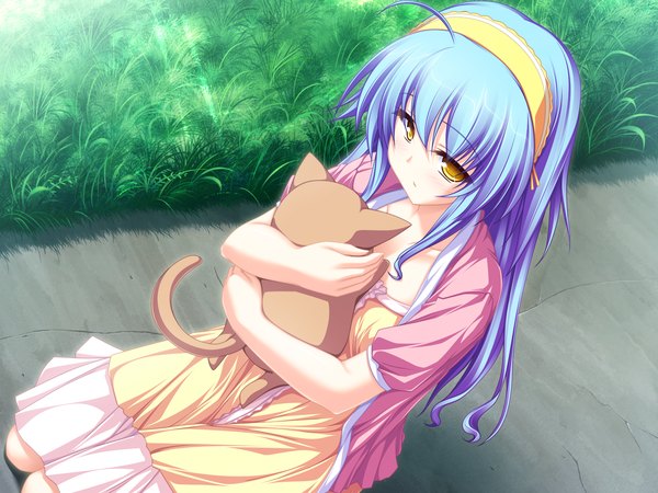 Anime picture 1600x1200 with suzukaze no melt hiiragi tsukino tenmaso long hair yellow eyes blue hair game cg ahoge girl animal cat sundress