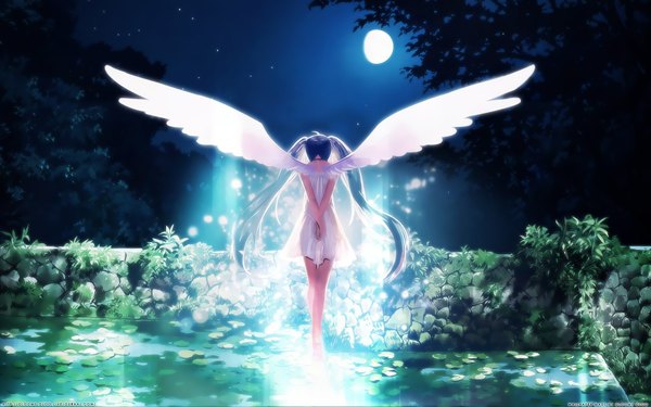 Anime picture 1920x1200 with vocaloid hatsune miku alphonse (white datura) single highres wide image twintails blue hair from behind night wallpaper back angel wings angel girl plant (plants) wings tree (trees) water moon