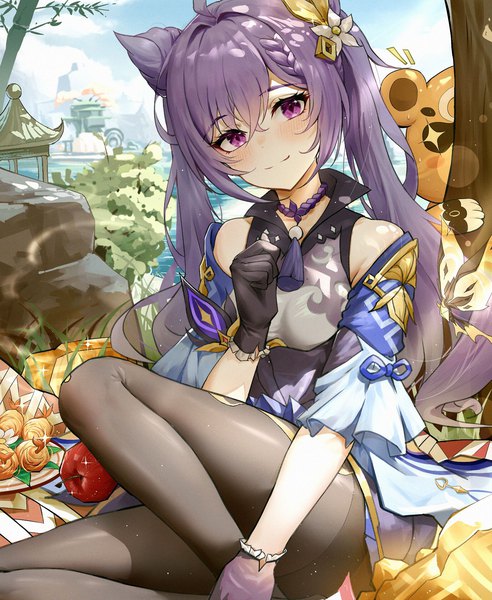 Anime picture 1573x1920 with genshin impact keqing (genshin impact) guoba (genshin impact) di qi gang guang single long hair tall image looking at viewer blush fringe smile hair between eyes sitting purple eyes twintails purple hair ahoge outdoors sparkle hair bun (hair buns)