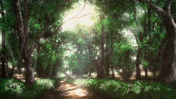 Anime picture 1920x1080 with original tsuruzen highres wide image no people landscape nature plant (plants) tree (trees) forest