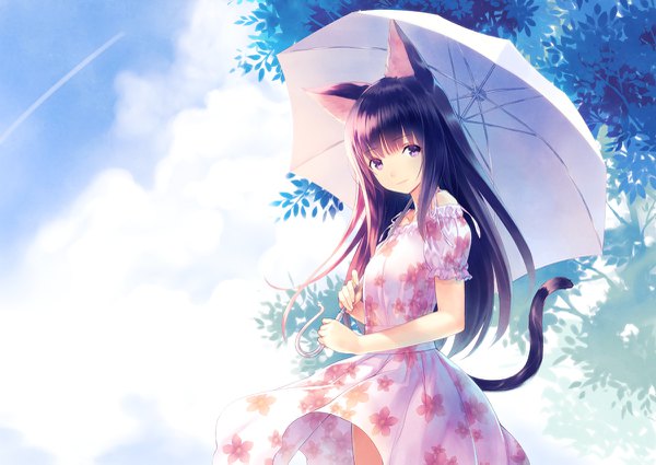 Anime picture 1200x851 with original hirano katsuyuki single long hair looking at viewer fringe black hair standing purple eyes holding animal ears sky cloud (clouds) outdoors tail blunt bangs animal tail light smile cat ears off shoulder