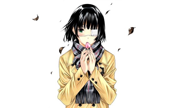 Anime picture 2560x1600 with ikkitousen single looking at viewer blush highres short hair black hair wide image green eyes girl jacket heart scarf leaf (leaves) eyepatch