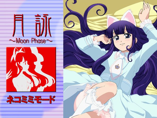 Anime picture 1024x768 with tsukuyomi moon phase hazuki animal ears cat girl girl