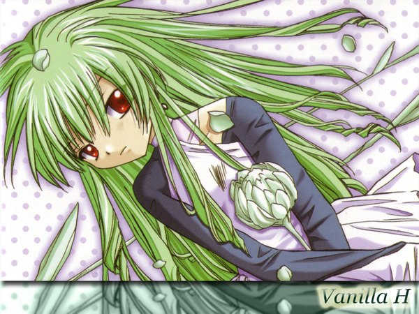 Anime picture 1024x768 with galaxy angel madhouse vanilla h green hair vegetables broccoli