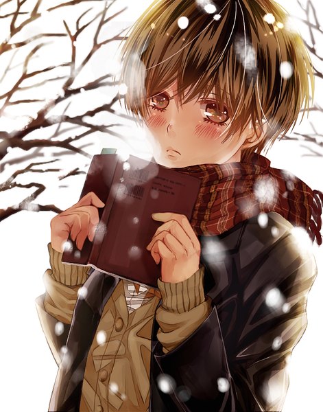 Anime picture 700x891 with bokura wa minna kawaisou brains base (studio) kawai ritsu kanata (mizubenisumutori) single tall image blush fringe short hair hair between eyes brown hair brown eyes upper body snowing winter bare tree girl uniform plant (plants) school uniform