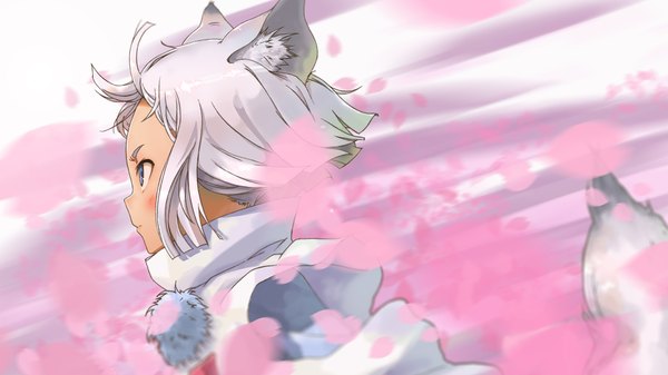 Anime picture 1920x1080 with tokyo ravens 8bit kon (tokyo ravens) single blush highres short hair blue eyes wide image animal ears looking away white hair tail animal tail profile wind cat ears cat tail close-up girl