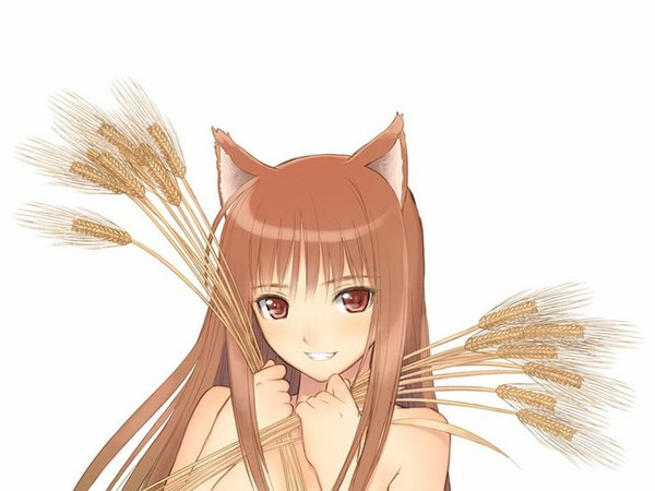 Anime picture 1024x768 with spice and wolf horo tony taka single long hair looking at viewer blush fringe simple background smile red eyes brown hair white background bare shoulders animal ears soft beauty girl colossus