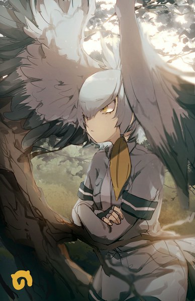 Anime picture 1000x1546 with kemono friends shoebill (kemono friends) no-kan single tall image fringe short hair hair between eyes yellow eyes looking away outdoors grey hair crossed arms head wings serious girl gloves uniform plant (plants) wings