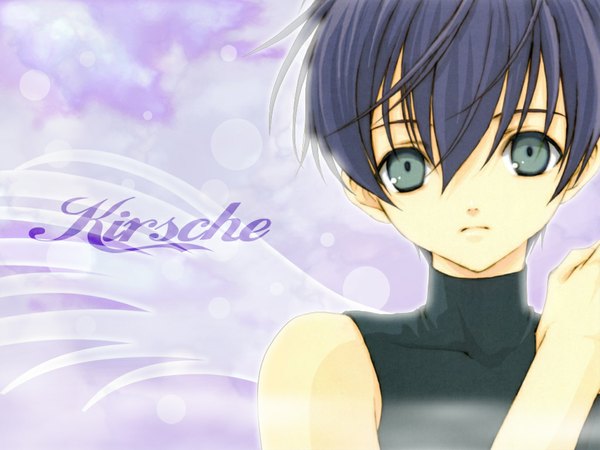 Anime picture 1024x768 with fairy hearts azumi tooru single looking at viewer fringe short hair hair between eyes blue hair grey eyes third-party edit boy