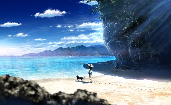 Anime picture 1200x738 with original bokuden single long hair black hair wide image looking away sky cloud (clouds) sunlight beach landscape scenic girl plant (plants) animal shorts sea t-shirt dog