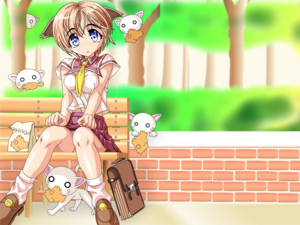 Anime picture 1600x1200 with animal ears cat ears girl uniform school uniform cat