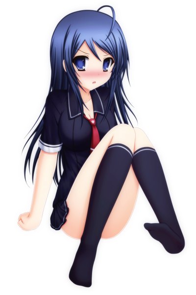 Anime picture 2000x3000 with ore no imouto ga konna ni kawaii wake ga nai aragaki ayase toyokawa itsuki (p mayuhime) single long hair tall image blush highres light erotic simple background white background purple eyes blue hair legs girl socks black socks