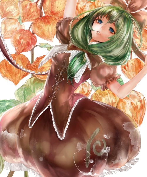 Anime picture 2000x2400 with touhou kagiyama hina tcb (pixiv) single long hair tall image highres blue eyes green hair girl dress bow hair bow frills physalis