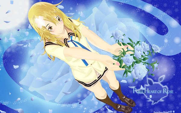 Anime picture 1920x1200 with air gear toei animation highres blonde hair wide image flower (flowers) rose (roses) blue rose